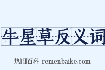 牛星草反义词是什么意思的图片